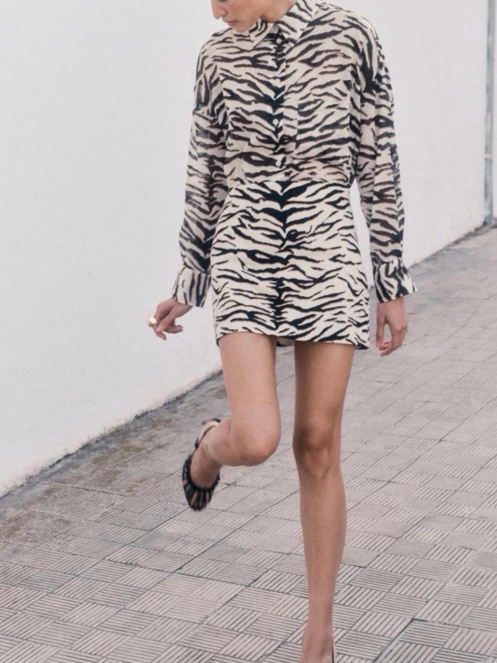 H&M Zebra-Print Mini Skirt in Beige and Black